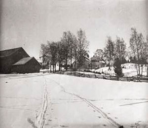 aarsaker3.jpg