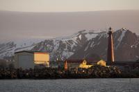 Hvalsafari AS - Andenes Camping