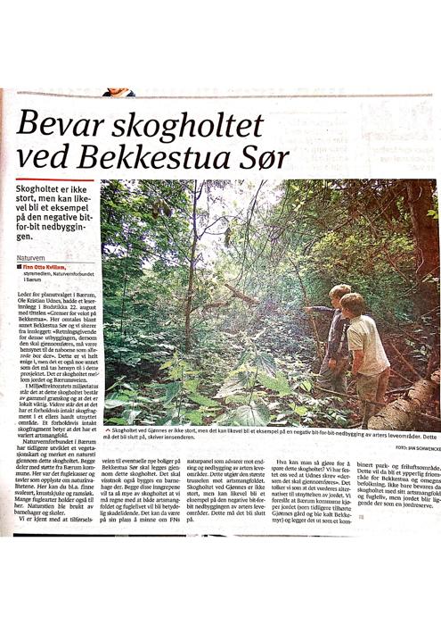 skogholt Bekkestua sør-page-001.jpg