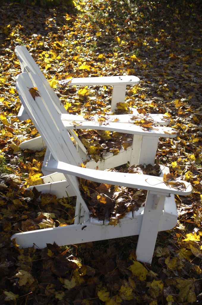 HØSTAKSJONEN 2019