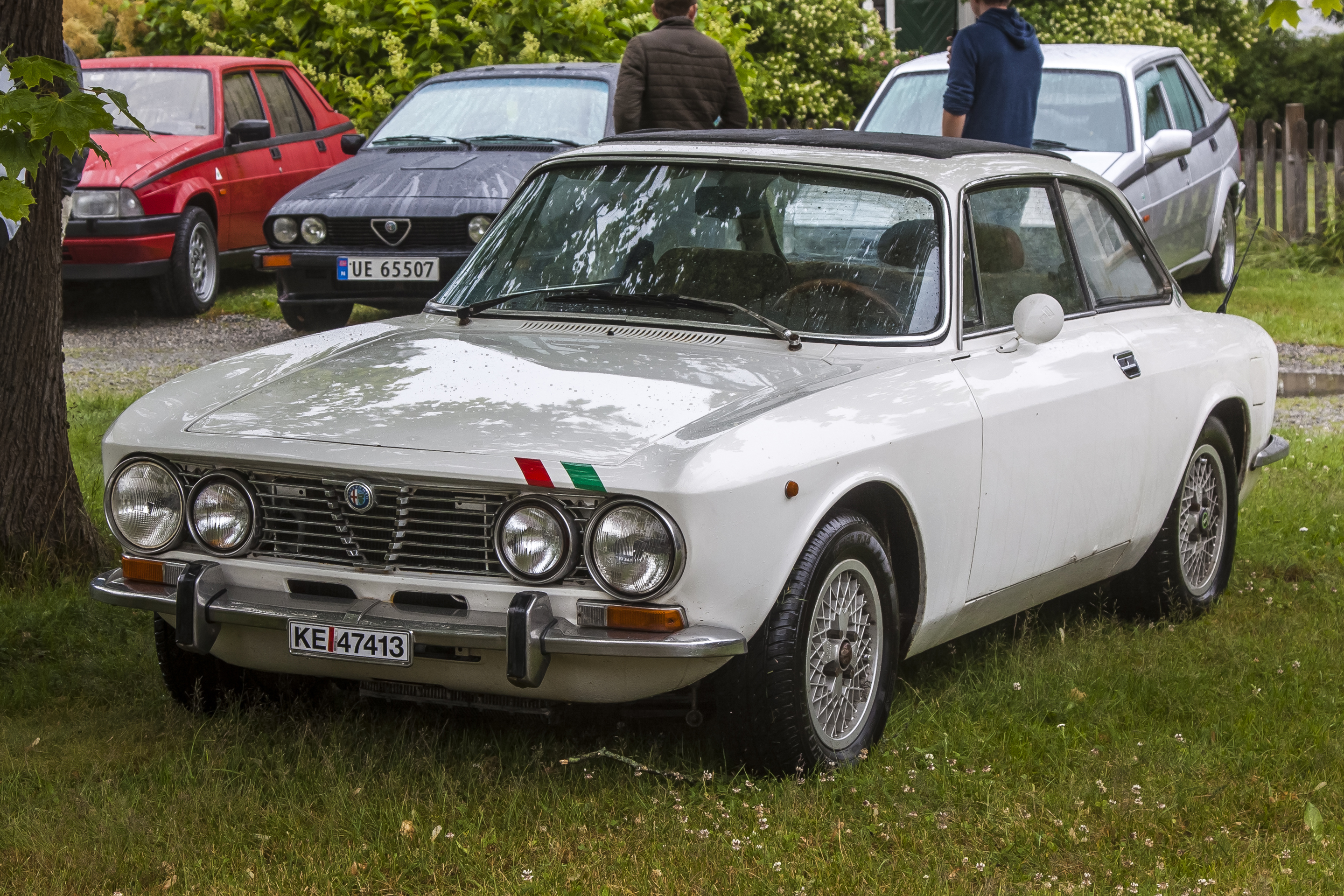 __1977 ALFA ROMEO GT JUNIOR 1600..jpg