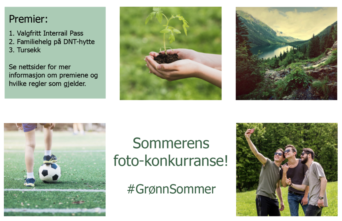 Sommerens fotokonkurranse! #NVIO #GrønnSommer