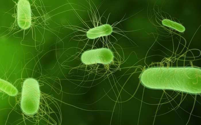 E.Coli-formbakterier