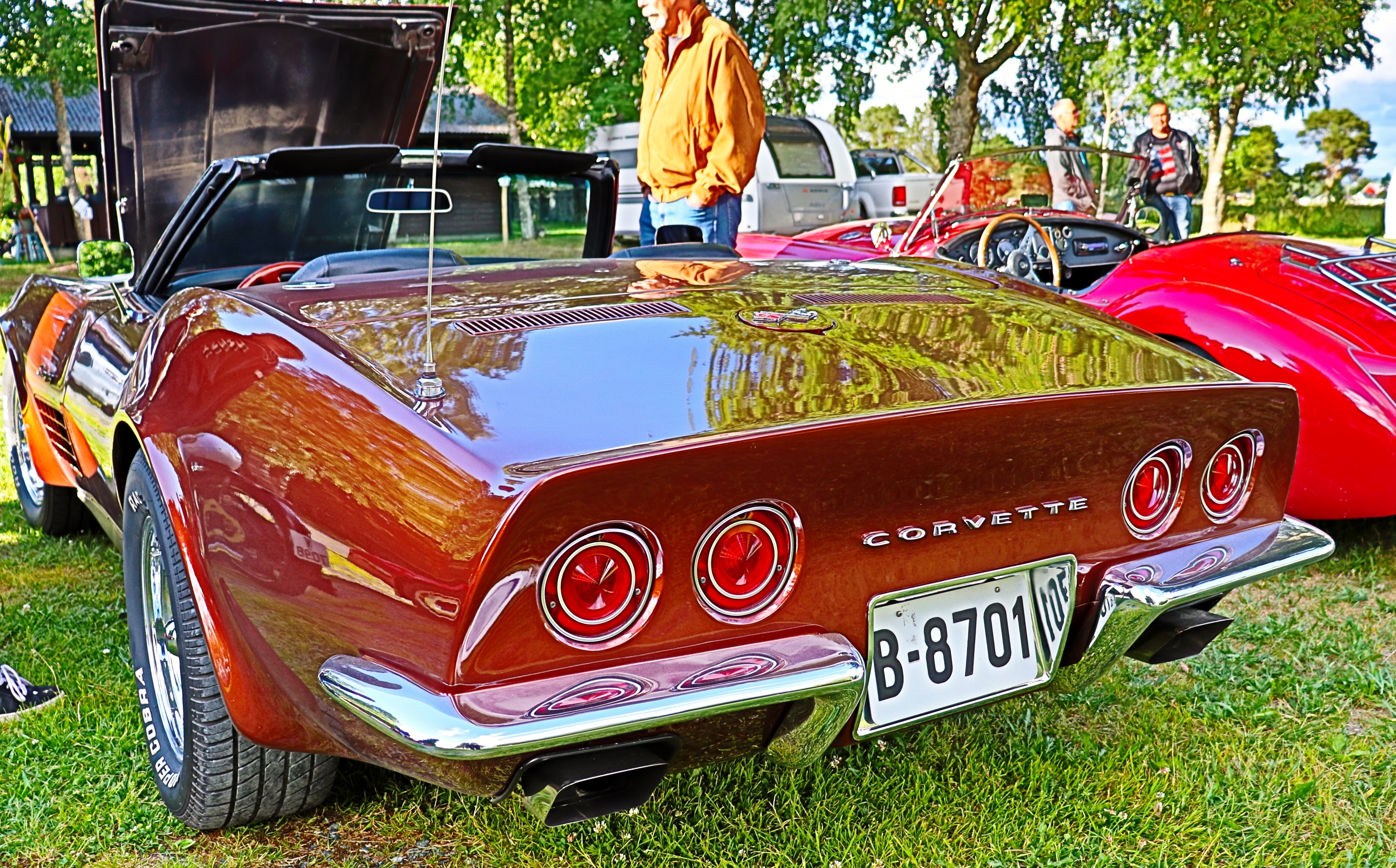 Chevrolet Corvette (4).JPG