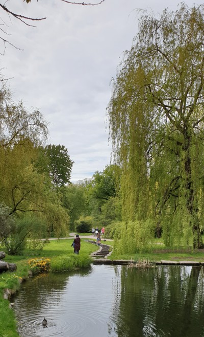 Oslos fineste oase - Botanisk hage på Tøyen.