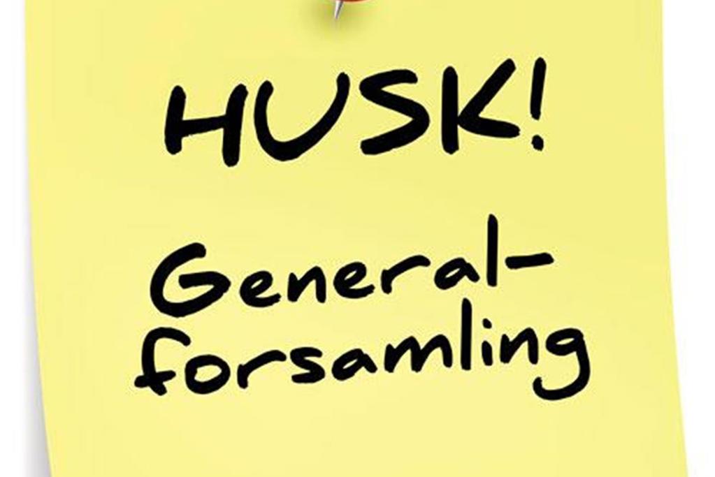Protokoll fra generalforsamling 13.11.21