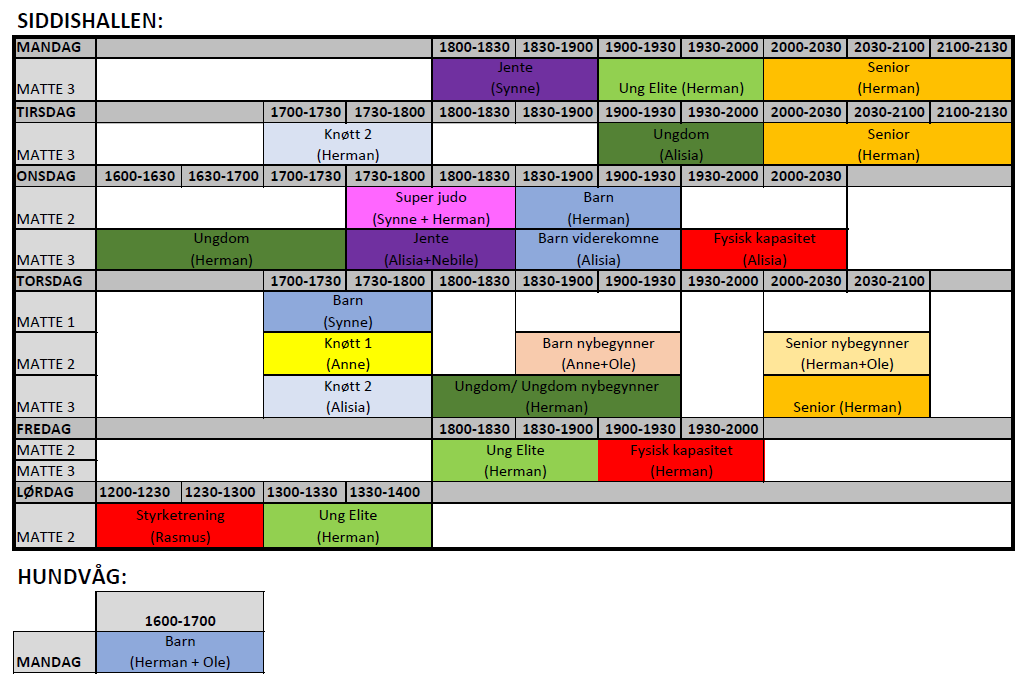 Timeplan V 2021.PNG