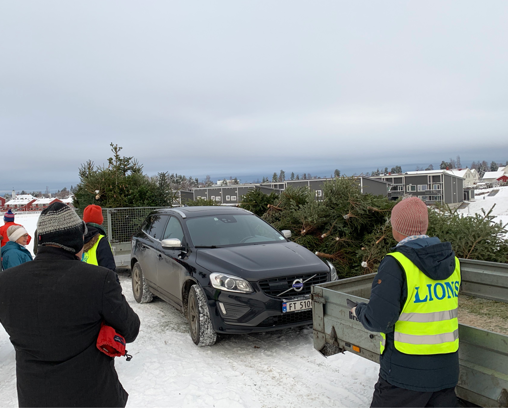 Innsamling av Juletrær