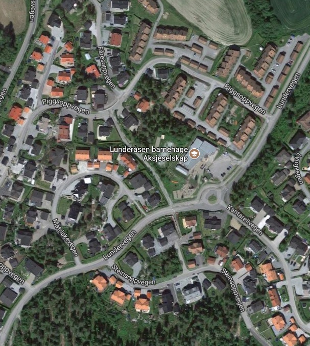 Protokoll fra årsmøte 2021