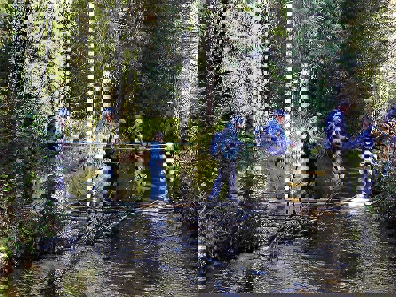 Juni: Vandring langs pilgrimssti i Maridalen, 2003
