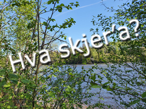 Nytt fra lokallagene