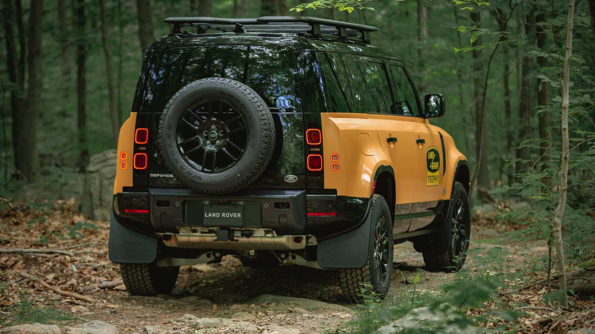 land-rover-defender-trophy-edition-rear-angle.jpg