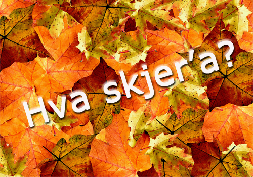 Hva skjer rundt omkring?