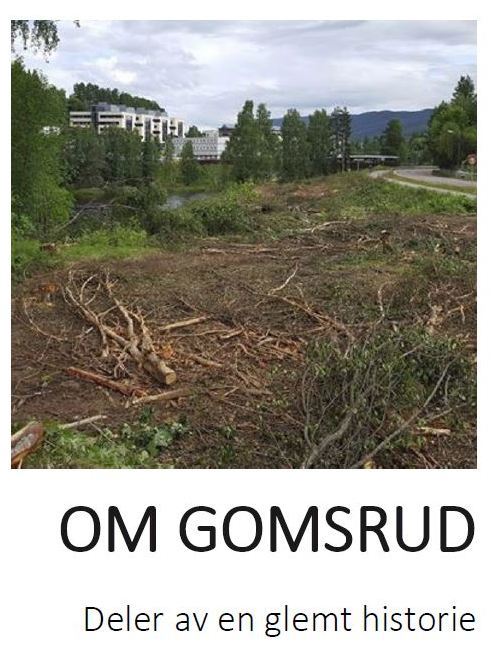 Om Gomsrud