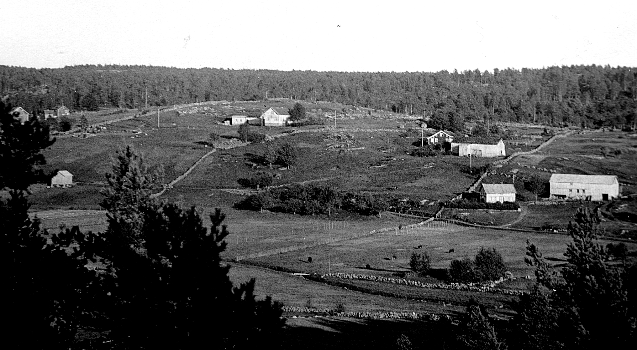 Garden Høyland i Konsmo ca 1950