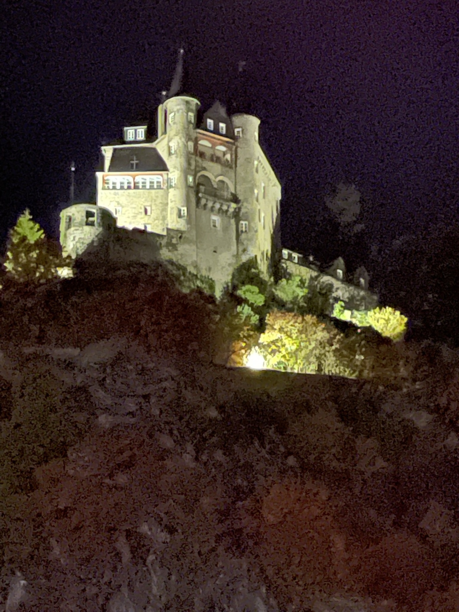Burg ved Rhinen.jpg