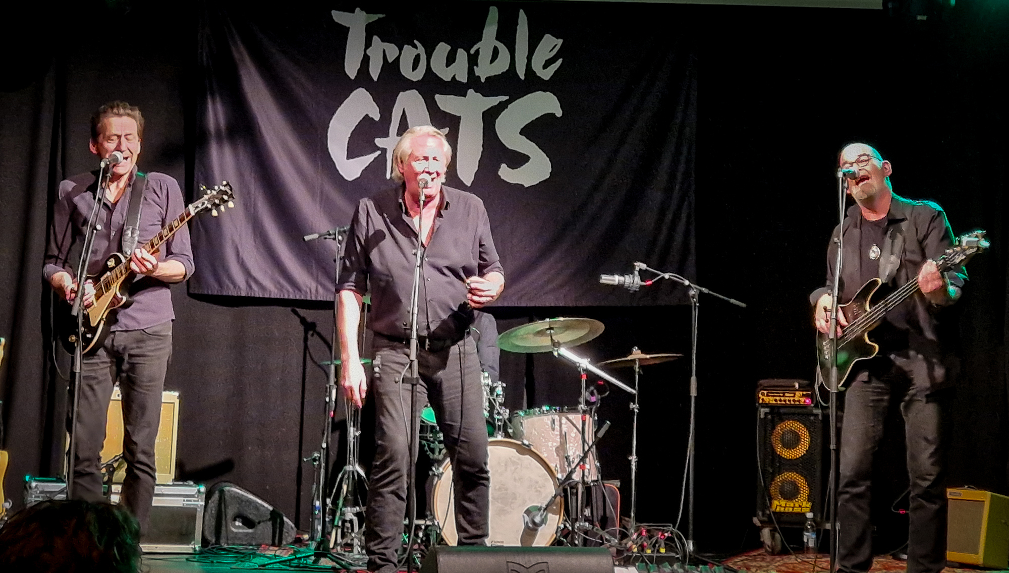 Trouble Cats-6.jpg