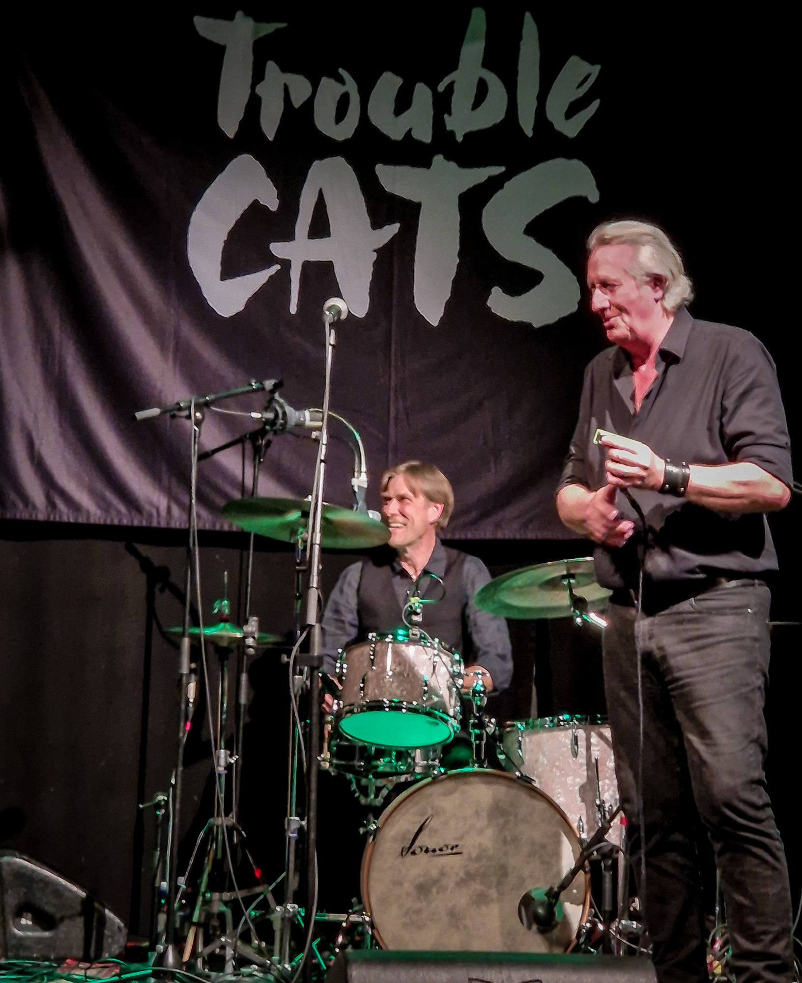 Trouble Cats-7.jpg