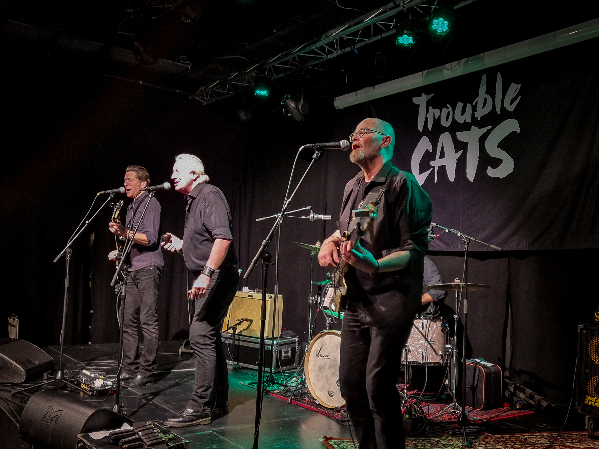 Trouble Cats-18.jpg