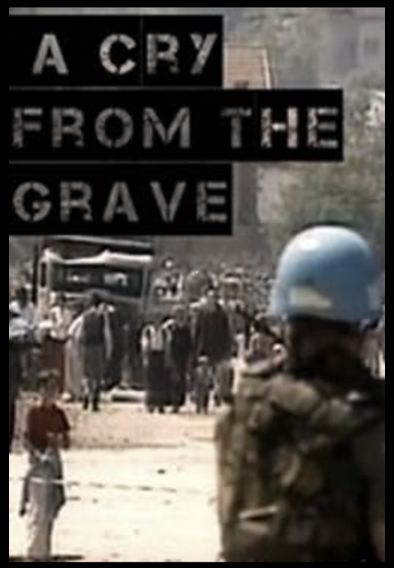 Srebrenica: A cry from the grave (1999)