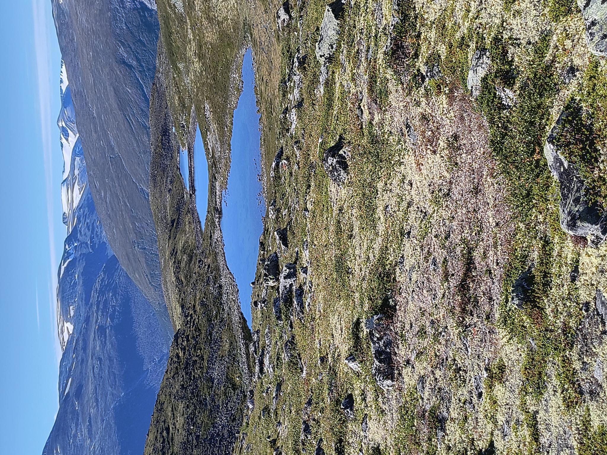 Medlemsmøte