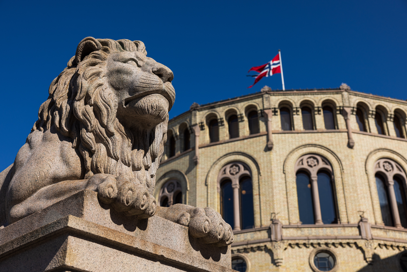 Veteranpolitisk plattform 