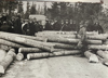 Artikkelbilde til artikkelen Samtalemøte: 80 år siden frigjøringen