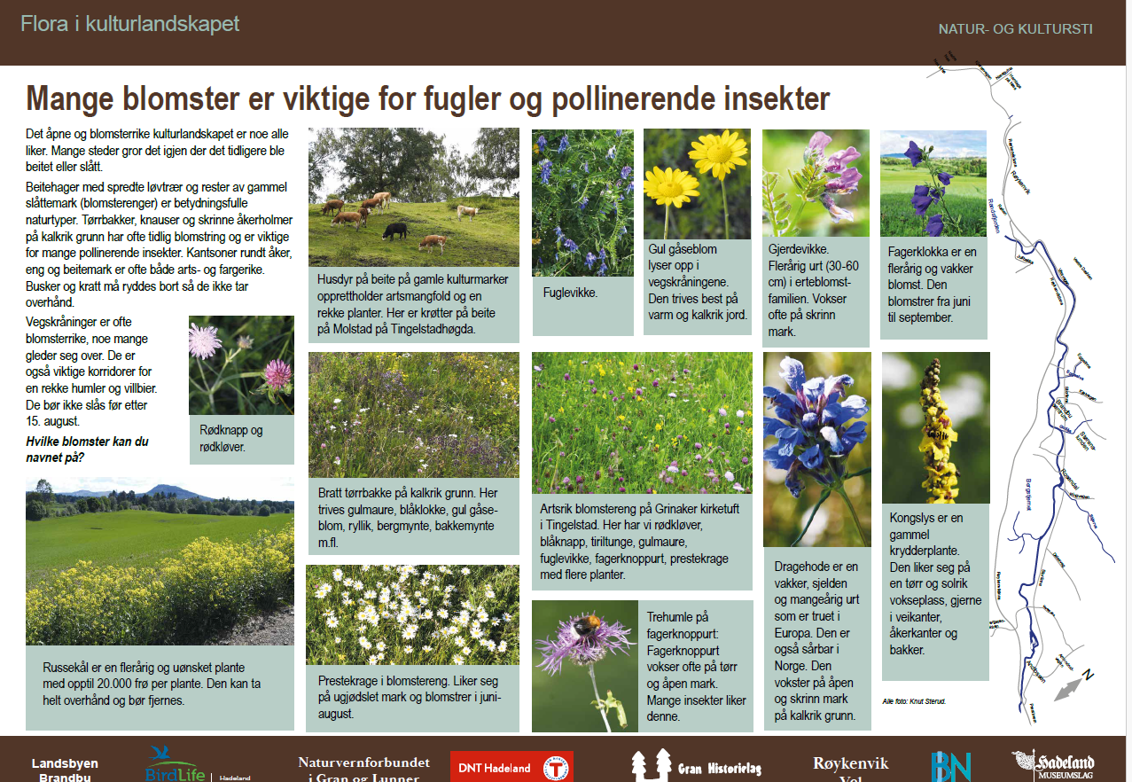 Natur- og kultur sti fra Jarenvatnet til Nes kirke