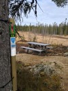 Artikkelbilde til artikkelen Stolpejakten sparkes i gang i dag