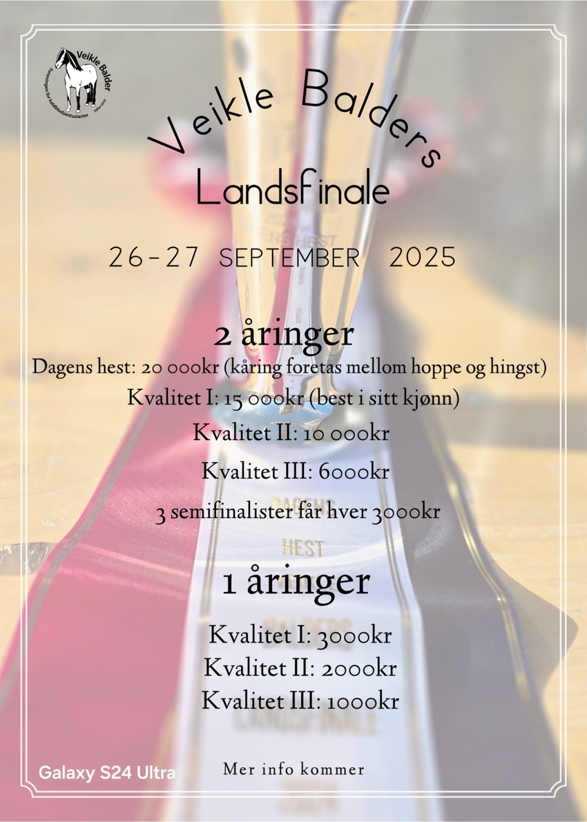 Landsfinalen 2025