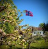 Artikkelbilde til artikkelen 17. Mai på Rykkinn