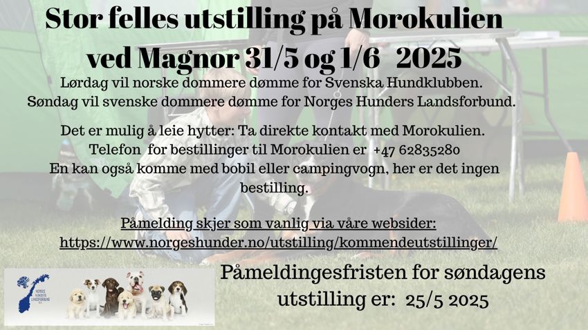 2025 Morokulien
