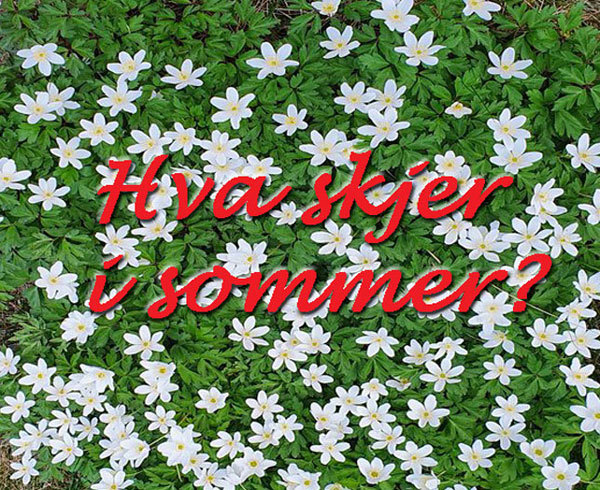 Hva skjer i sommer?