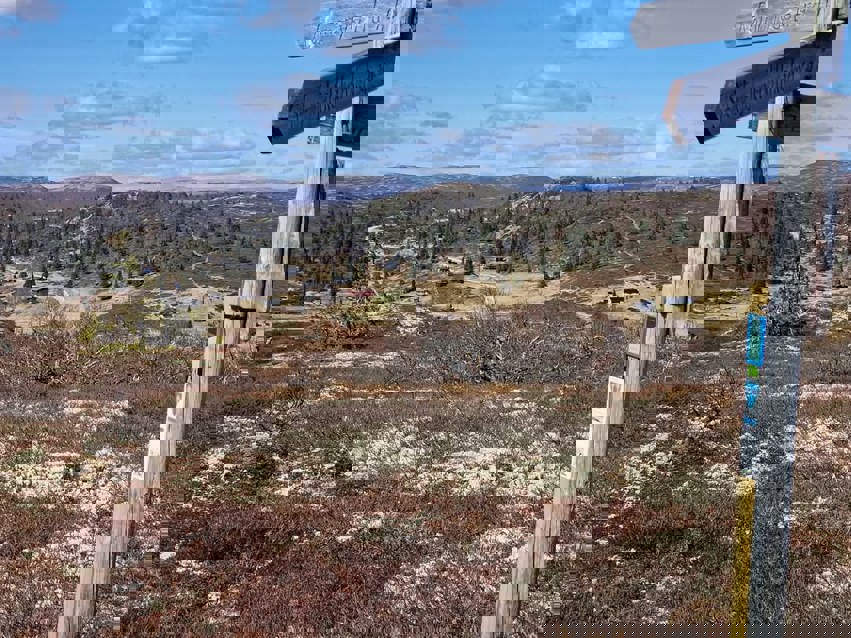 Når vi 2000 stolpebesøk ila pinsen?
