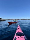 Artikkelbilde til artikkelen Oppstart av havpadling gruppe