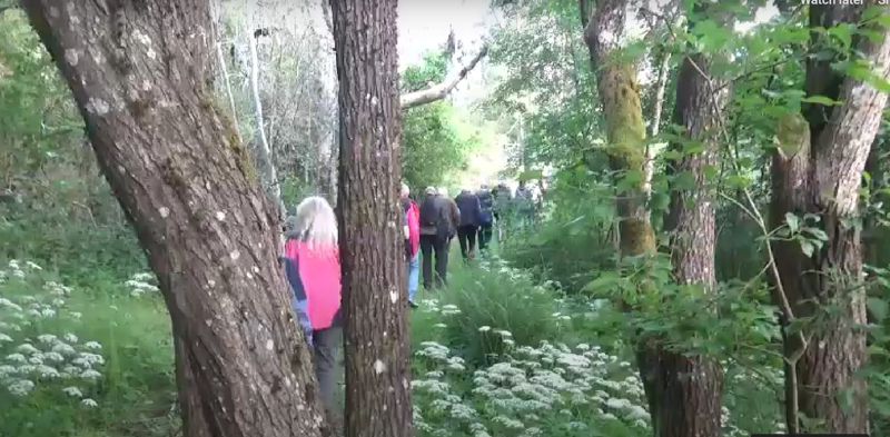 2025.06.17 Gjersjøelva. Opp til Langbygningen. Foto Grunde Vale.