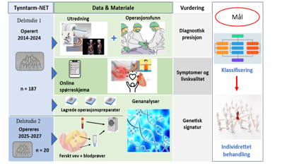        Figur: Genuttrykk og klinisk fenotype i nevroendokrine tynntarmssvulster. Studiedesign.