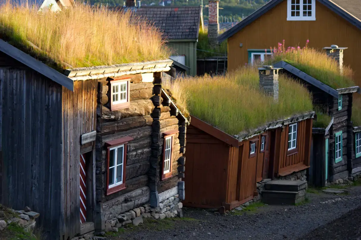 Vertskap i Sleggveien i sommer
