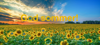Artikkelbilde til artikkelen God sommer!