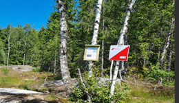 Knut Jørgen Solberg