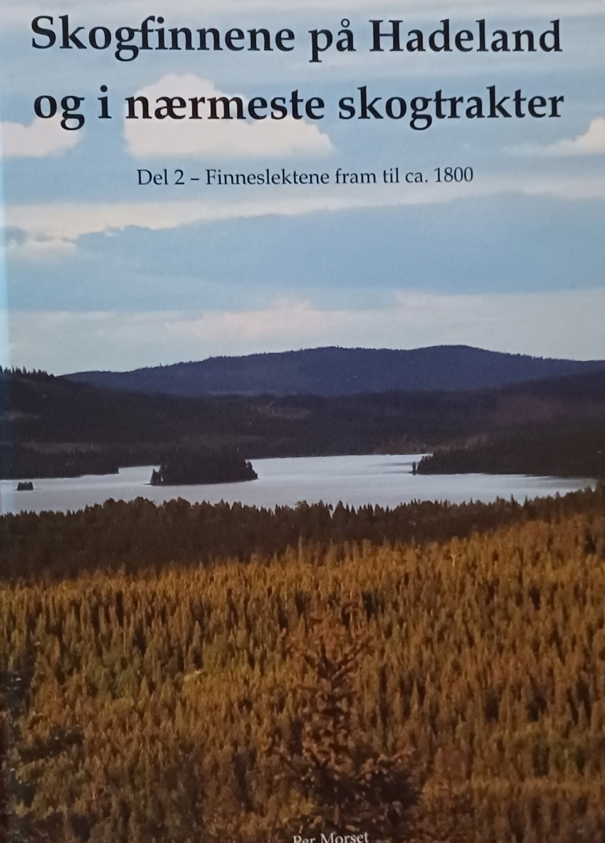 Skogfinnene på Hadeland og i nærmeste sk