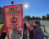 Artikkelbilde til artikkelen Velkommen som ny lærerstudent!