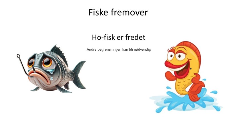 Fiske fremover - 2025