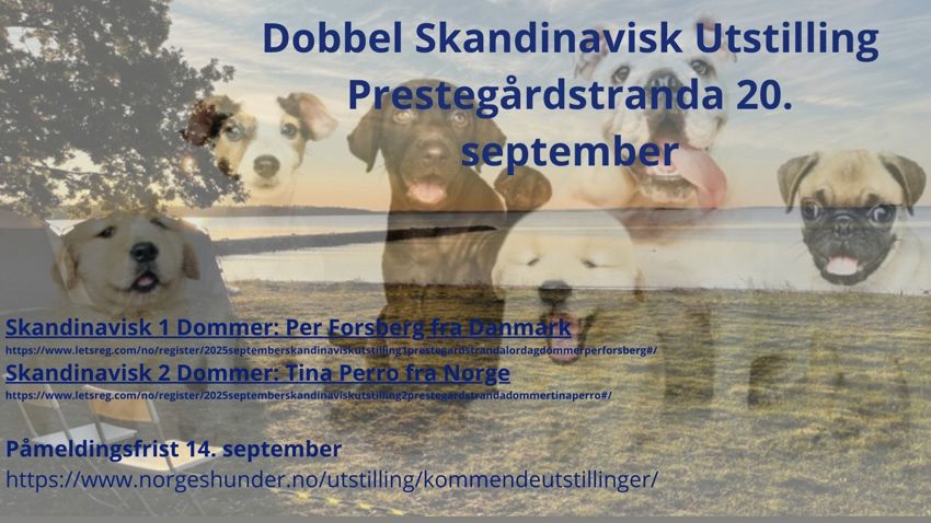 2025 Utstilling September Prestegårdstranda