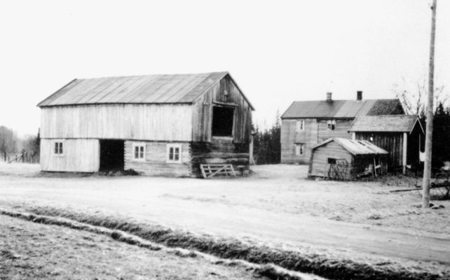 Løkkaunet I østre
