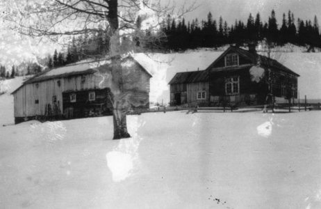 Nes Sjoli 1930 1