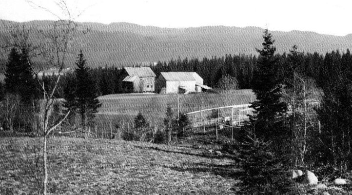 Svån - Fjæremssvån