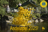 Artikkelbilde til artikkelen Andeløpet 2025