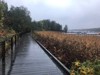 Artikkelbilde til artikkelen Gangbare Bærum 