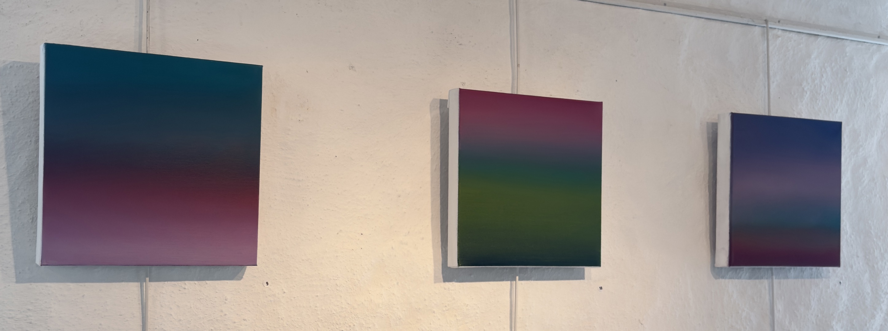 Månedens kunstner i Galleri Fjoset